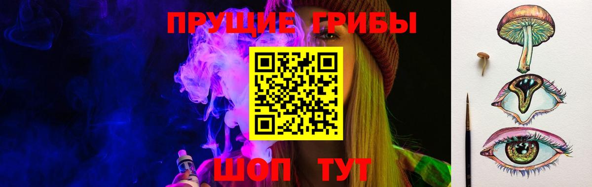 Кувандык  Псилоцибиновые грибы мухоморы  Вход с VPN 